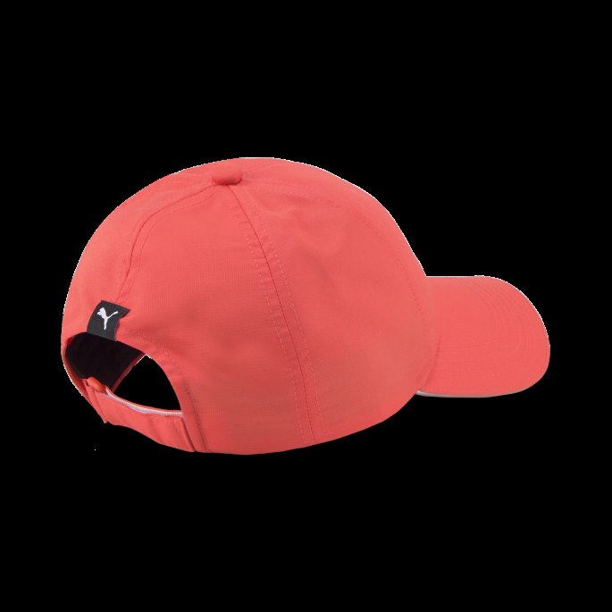 Laks Ytelse Baseball Lue Jr Puma På Salg