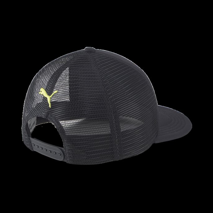 Puma På Salg Hometown Heroes Trucker Lue 2 Svart