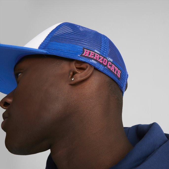 Puma På Salg Hometown Heroes Trucker Lue 2 Lapis Blå-hvit