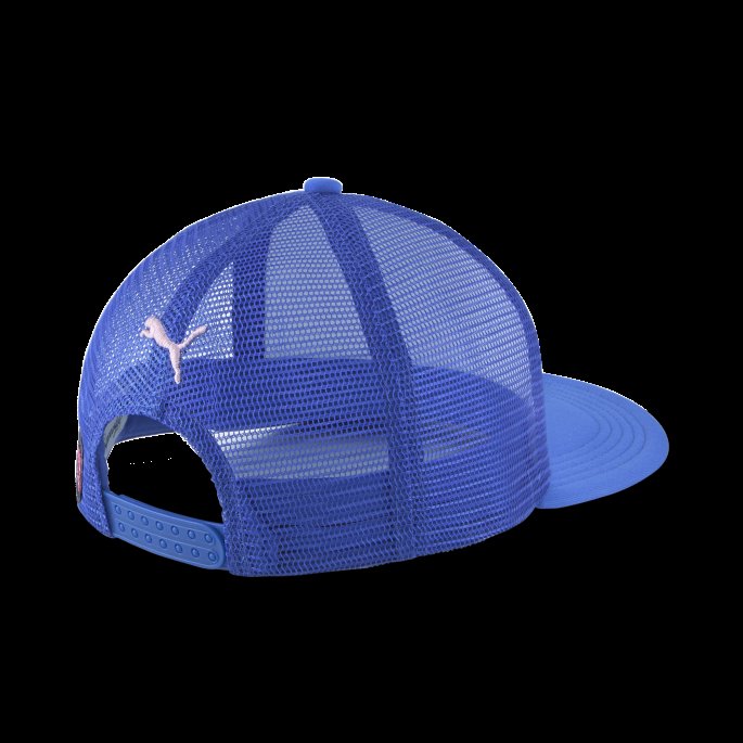 Puma På Salg Hometown Heroes Trucker Lue 2 Lapis Blå-hvit