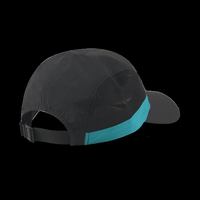 Puma På Tilbud Prime Fandom Cap Black-deep Aqua