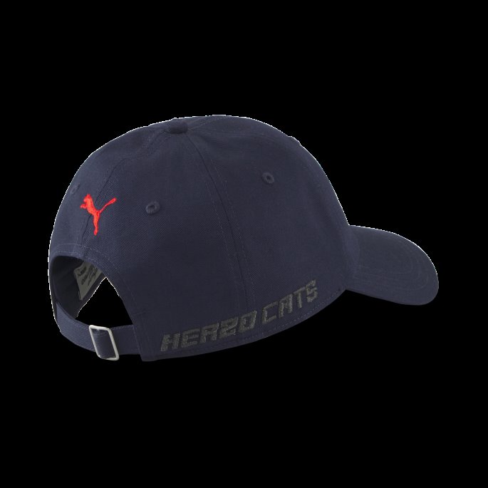 Hometown Heroes Baseballhatt Peacoat Puma På Salg