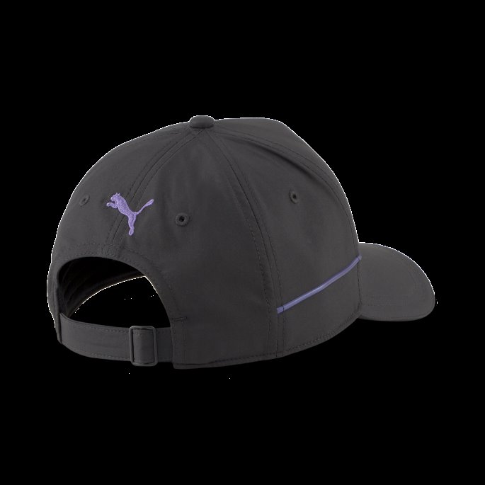 Svart Puma På Salg Bmw M Motorsport Metall Energi Cap