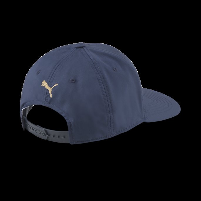 Marineblå Blazer Puma På Tilbud X Palm Tree Crew Golf Cap Herre