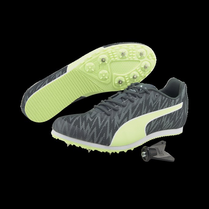 Evospeed Star 7 Friidrettspigger Mørk Skiferbrusende Lys Puma På Salg