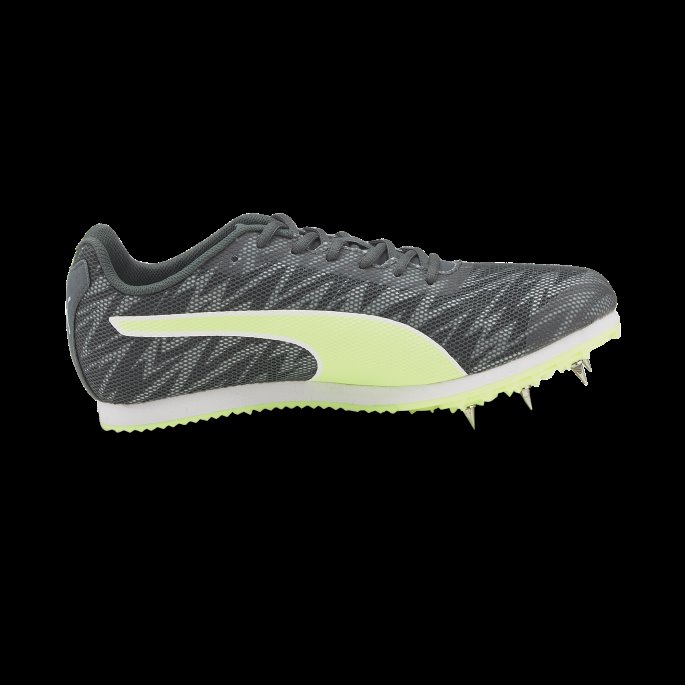 Evospeed Star 7 Friidrettspigger Mørk Skiferbrusende Lys Puma På Salg