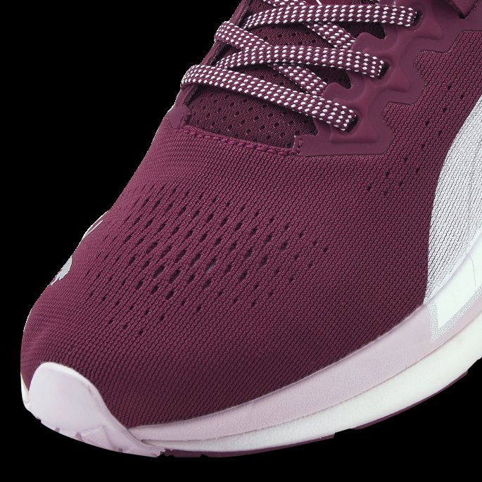 Eternity Nitro Dame Joggesko Puma På Tilbud Drue Vin-lavendel Tåke-hvit