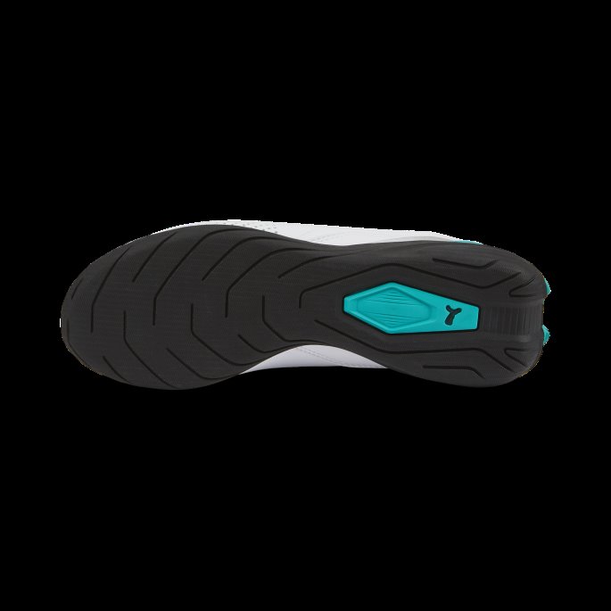 Puma På Salg Mercedes-amg Petronas Formel 1 Drift Cat Decima Motorsport Sko Ungdom Hvit-spektra Grønn-svart