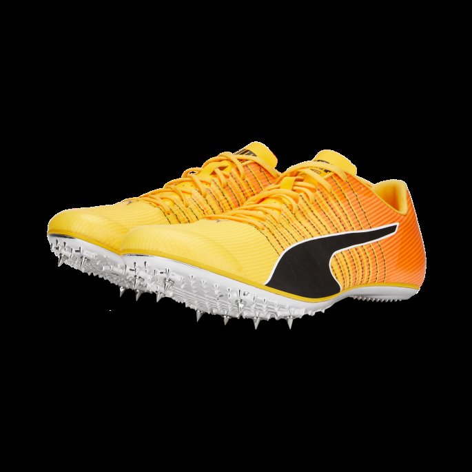 Sun Stream-solnedgang Glød-svart Evospeed Tokyo Brush 4 Friidrettssko Puma På Salg