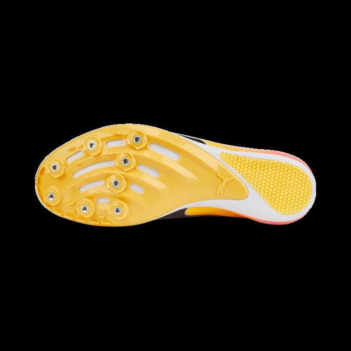 Sun Stream-solnedgang Glød-svart Evospeed Sprint 14 Friidrettssko Puma På Salg