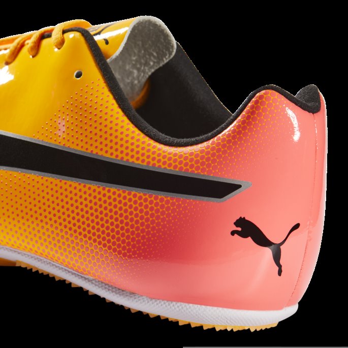 Sun Stream-solnedgang Glød-svart Evospeed Sprint 14 Friidrettssko Puma På Salg