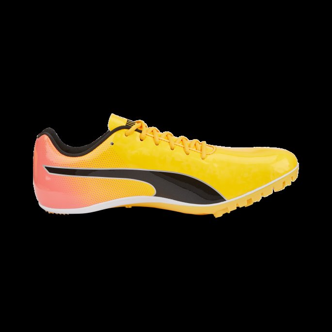 Puma På Salg Sun Stream-solnedgang Glød-svart Evospeed Sprint 14 Friidrettssko