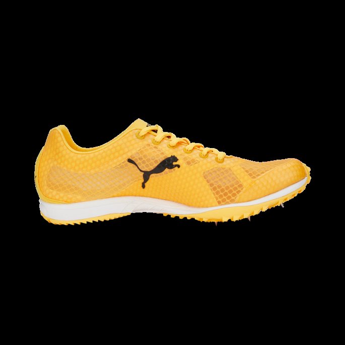 Evospeed Haraka 7 Friidrettssko Puma På Salg Sun Stream-solnedgang Glød-svart