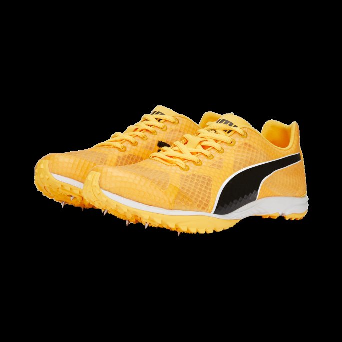 Evospeed Haraka 7 Friidrettssko Sun Stream-solnedgang Glød-svart Puma På Salg