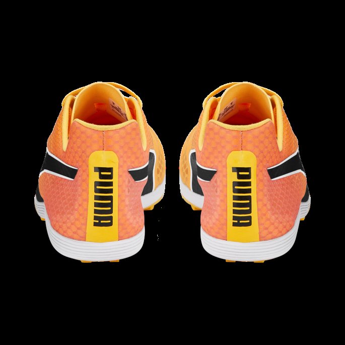 Evospeed Crossfox 4 Friidrettssko Sun Stream-solnedgang Glød-svart Puma På Salg