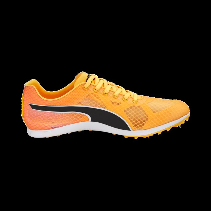 Evospeed Crossfox 4 Friidrettssko Sun Stream-solnedgang Glød-svart Puma På Salg