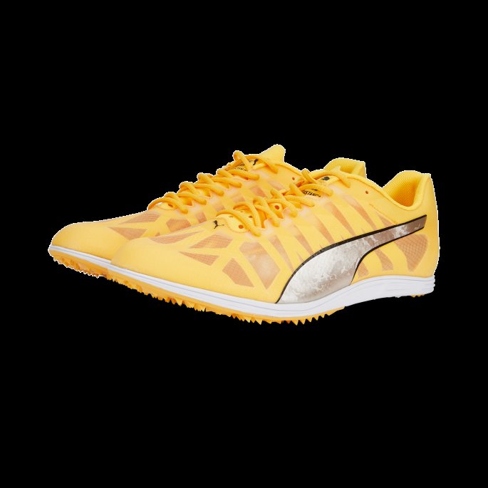 Sun Stream-sølv-svart Evospeed Distance 10 Friidrettssko Menn Puma På Salg
