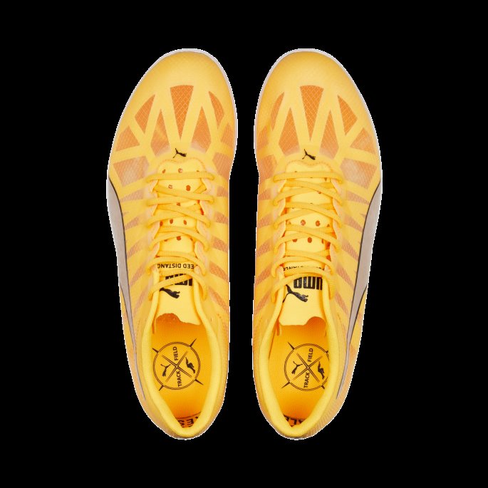 Puma På Tilbud Sun Stream-sølv-svart Evospeed Distance 10 Friidrettssko For Menn