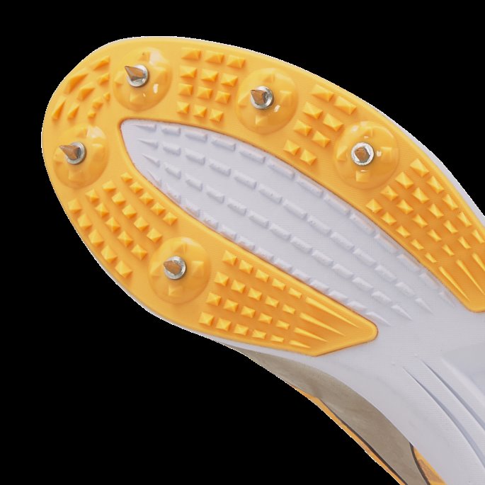 Puma På Tilbud Sun Stream-sølv-svart Evospeed Distance 10 Friidrettssko For Menn