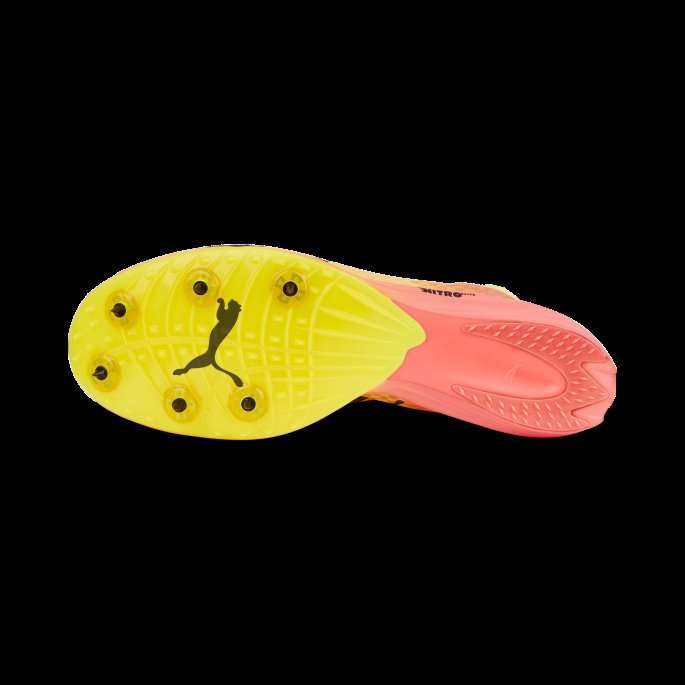 Evospeed Distance Nitro Elite Friidrettspigger Solstrøm-solnedgang Glød-svart Puma På Salg