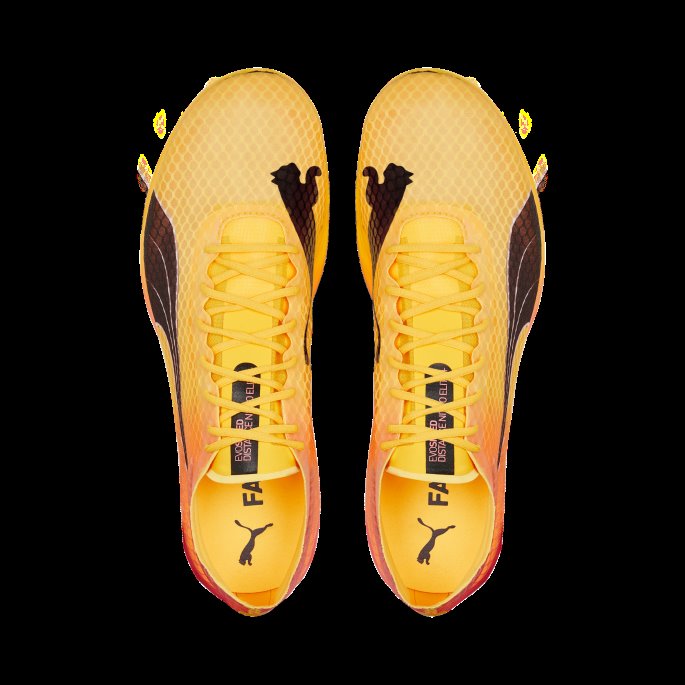 Evospeed Distance Nitro Elite Friidrettspigger Solstrøm-solnedgang Glød-svart Puma På Salg