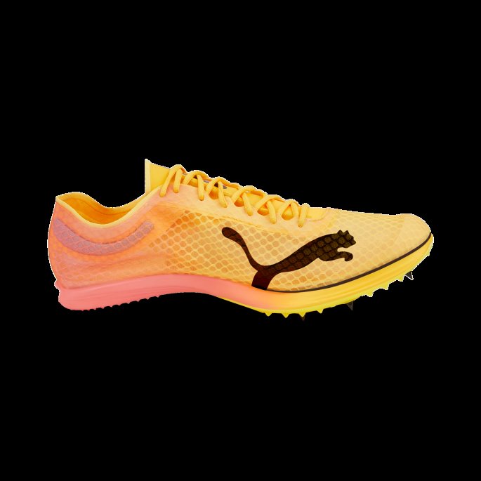 Sun Stream-solnedgang Glød-svart Puma På Salg Evospeed Distance Nitro Elite Friidrettspigger