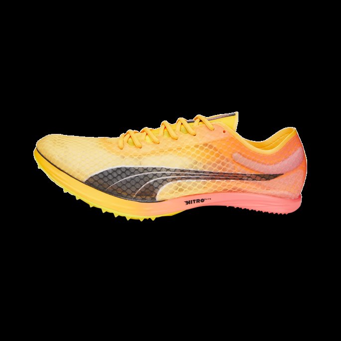Puma På Salg Sun Stream-solnedgang Glød-svart Evospeed Distance Nitro Elite Friidrettspigger