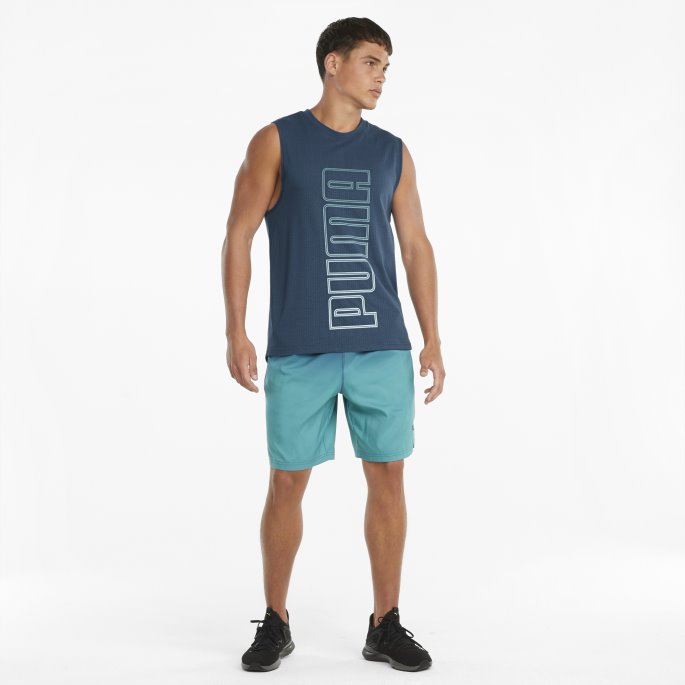 Puma På Tilbud Fade Treningsgenser For Menn Intens Blå