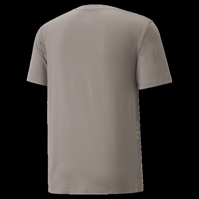 Quail Studio Grafisk Trenings-t-skjorte For Menn Puma På Salg