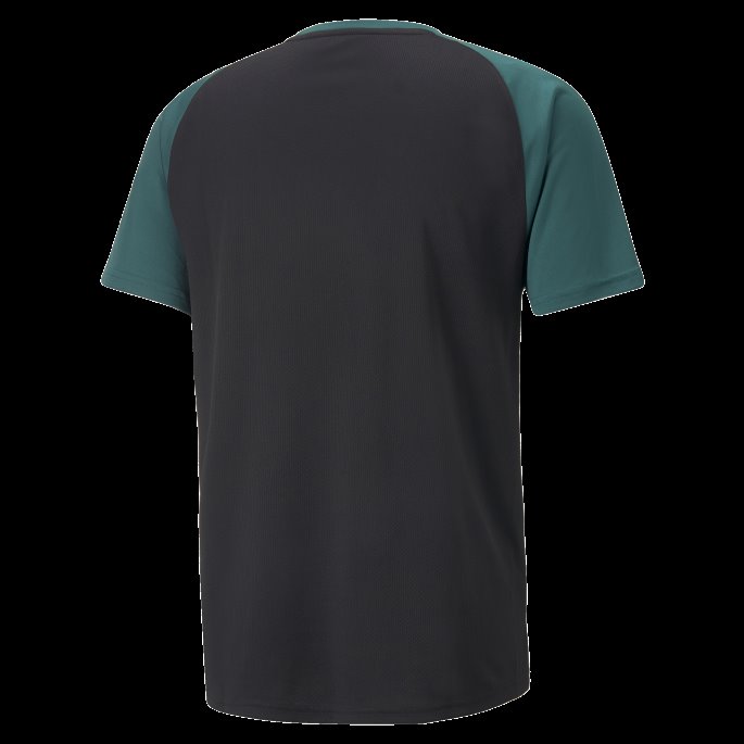 Passform Kortermet Treningsskjorte Herre Varsity Green Puma På Tilbud