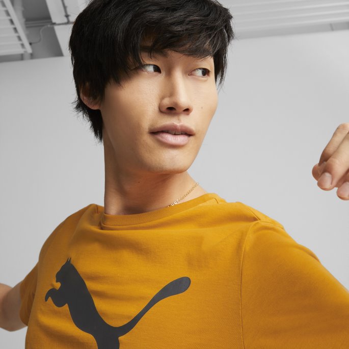 Puma På Tilbud Oransje Murstein Klassiske Herre-logo-t-skjorte