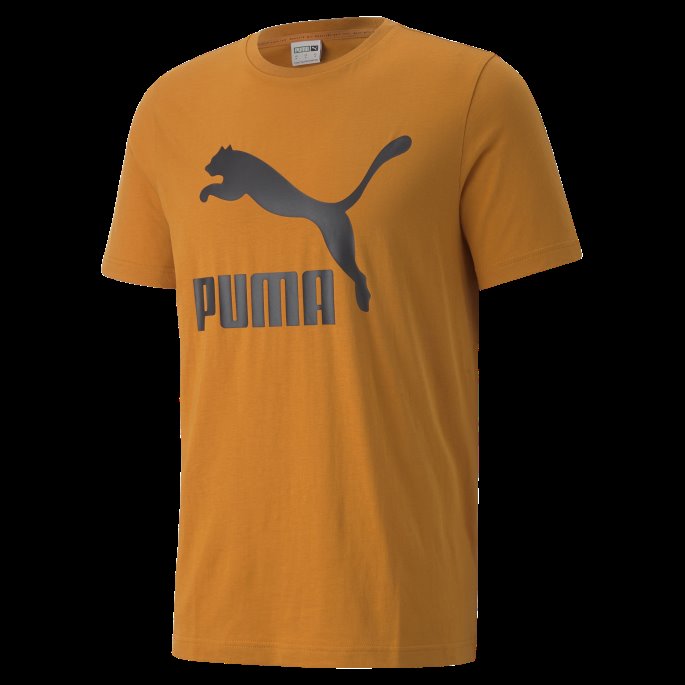Puma På Tilbud Oransje Murstein Klassiske Herre-logo-t-skjorte