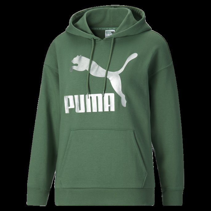 Dyp Skog-sølv Puma På Tilbud Klassiske Hettegenser Med Logo For Kvinner