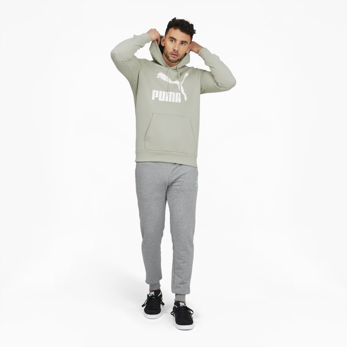 Våren Mose-hvit Puma På Tilbud Classics Herre Logo Hettegenser Fl