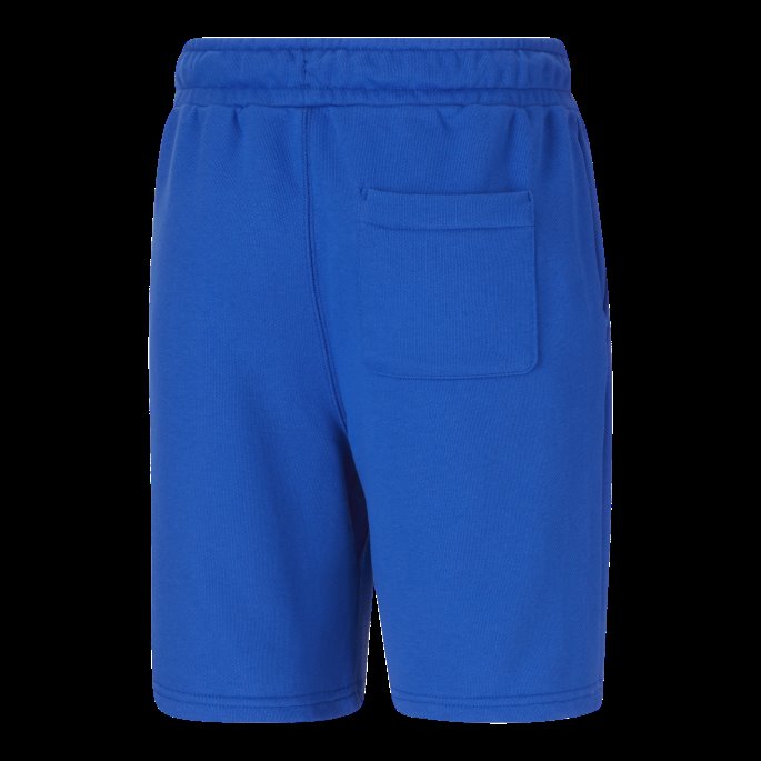 Puma På Tilbud X Tmc Hverdagshussle Sweatshorts Royal