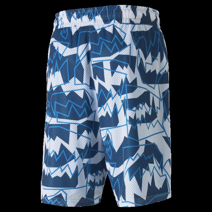 Seiling Blå Mesh Trykt Trening Menns Basketball Shorts Puma På Salg