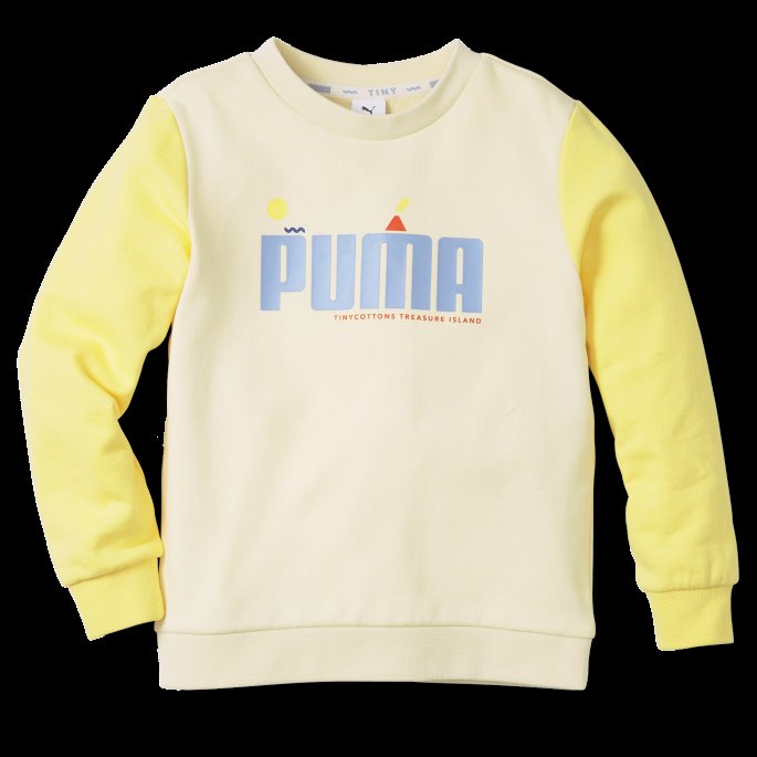 Anis Blomst Puma På Tilbud X Liten Fargeblokkert Crew Barnegenser