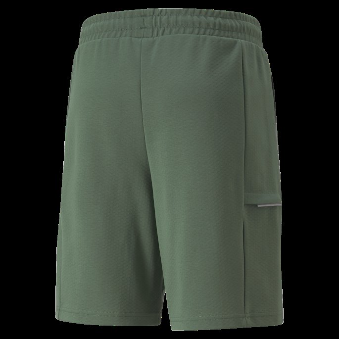 Deep Forest Mercedes-amg Petronas Motorsport F1 Sweatshorts For Menn Puma På Salg