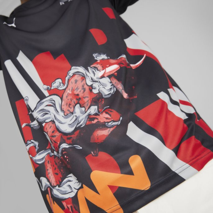 Puma På Salg Red Bull Racing Dobbel Bull Tee Menn Nattehimmel