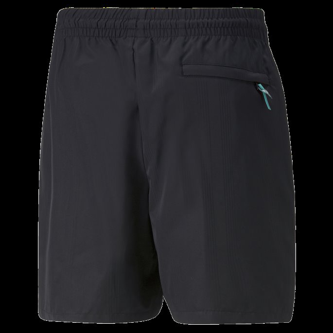 Fandom Shorts Herre Svart Puma På Salg