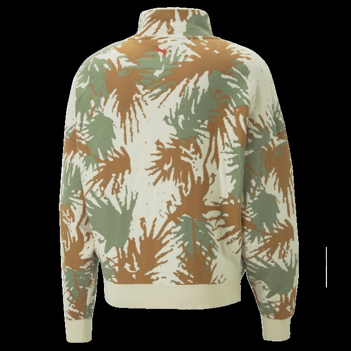 Puma På Tilbud Uberørte Barndomsdrømmer Menns Basketball Quarter Zip Sweatshirt
