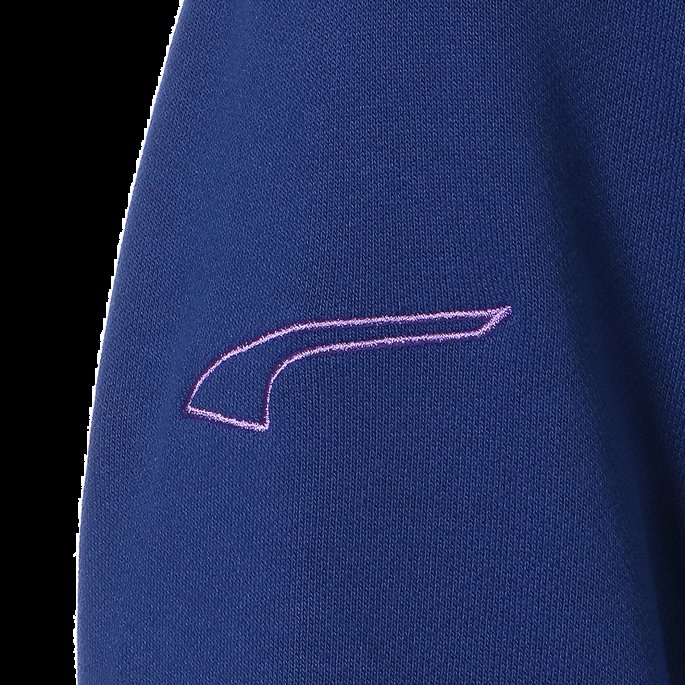 Puma På Salg Elektro Blå Sjelden Basketball Hettegenser For Menn