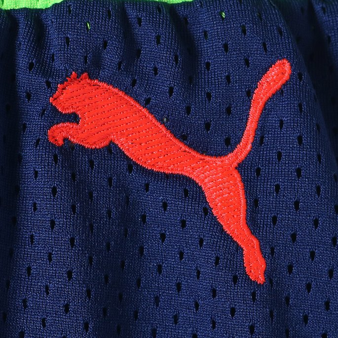 Sjeldne Basketballshorts For Menn Elektro Blågrønn Gekko Puma På Salg
