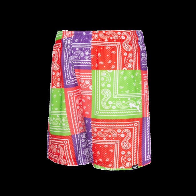 Hvit Puma På Salg Lamelo Paisley Trykt Basketball Shorts Menn