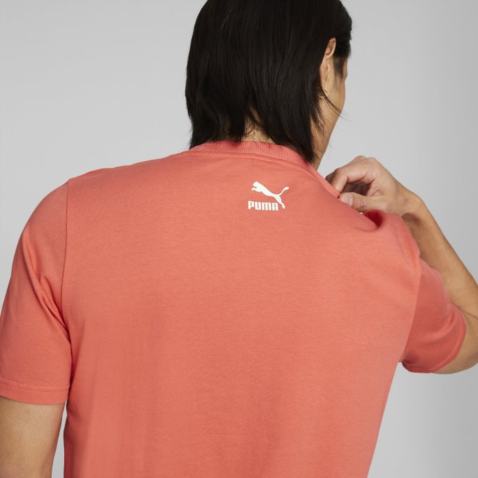 Summer Squeeze Herre Grafisk T-skjorte Puma På Tilbud Laks