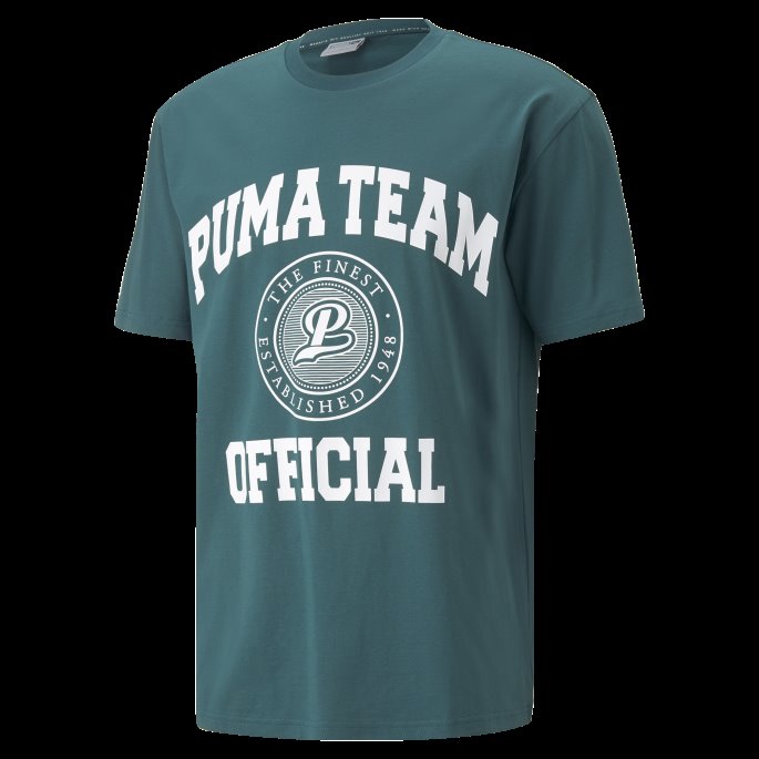 Puma På Salg Team Grafisk Tee Menn Varsity Green