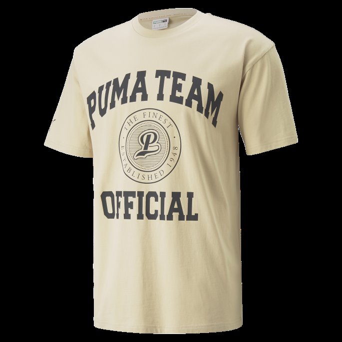 Puma På Salg Team Grafisk Tee Menn Lys Sand