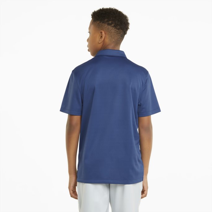 Flammende Blå Essensielle Gutte Golfpolo Puma På Salg
