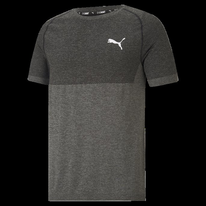 Puma På Tilbud Evoknit Rtg Basic Herre T-skjorte Svart