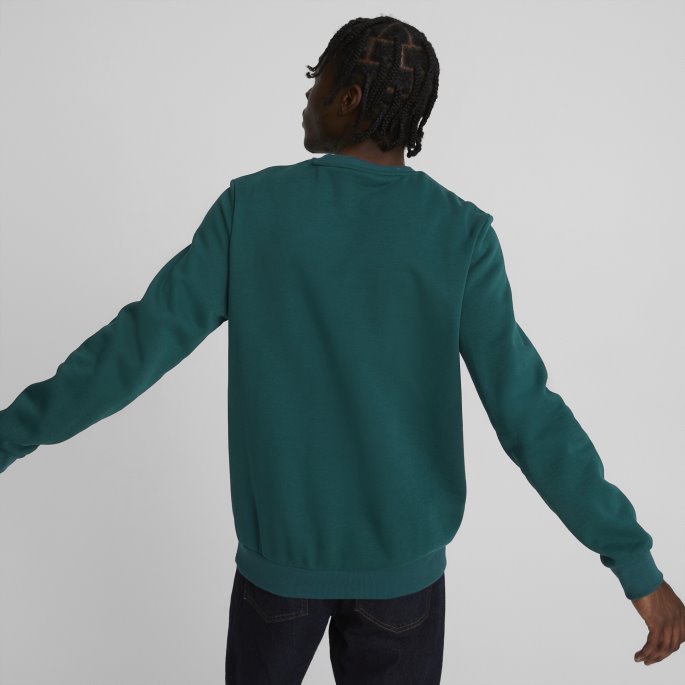 Puma På Salg Nødvendigheter Stor Logo Rund Hals Herregenser Varsity Green